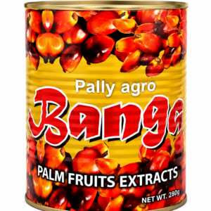 Banga